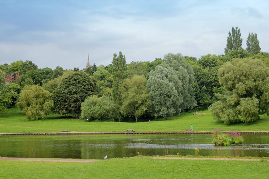 A tranquil park scene featuring a rectangular pond in the foreground with a narrow, low stone edge. The water's surface is calm, reflecting the surrounding greenery and a few small white birds resting on the grass nearby. Beyond the pond, the landscape transitions into a lush, open grassy area dotted with various mature trees displaying different shades of green, from dark foliage to lighter, silvery-green leaves. Several individuals can be seen sitting or walking along the grassy expanse, with one person dressed in bright clothing walking along a paved pathway that runs parallel to the pond's edge. The background includes a dense collection of trees extending toward a cityscape, with a church spire or similar tall structure partially visible among the treetops. Overhead, the sky is partly cloudy with patches of blue, casting a soft, diffuse light over the scene, emphasizing the natural textures of the trees, grass, and water. This peaceful outdoor environment illustrates a well-maintained public park, which may serve as an alternative to private waste disposal for community members, capturing the natural beauty typical of urban green spaces.